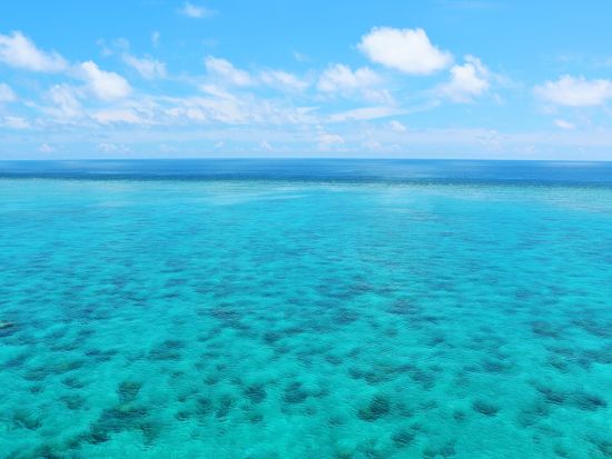 ウミガメシュノーケリングツアー 6歳から参加OK！お子様連れでも安心安全＜3月～11月催行／写真付き／宮古島＞