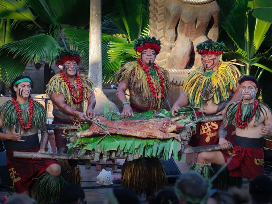 The-chief-and-luau-staff-presenting-the-luau-pig