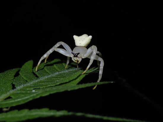 LINE_ALBUM_231002_12