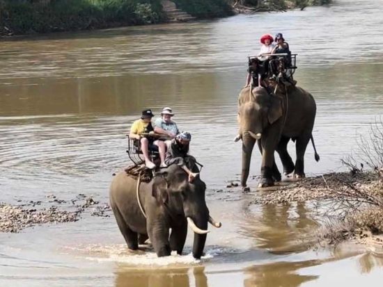 【チェンライ発着】タイ北部観光ツアー　エレファントキャンプ訪問（象乗り体験）＋首長族の村＜1日／昼食付き／日本語ガイド＞