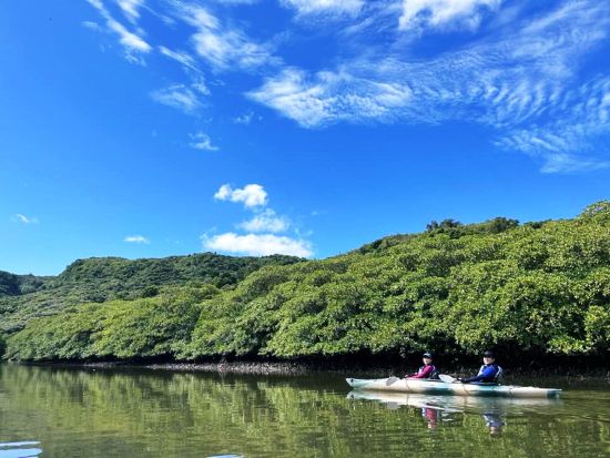 マングローブカヌー＋由布島観光ツアー+西表野生生物保護センター アクティビティも観光も、いいとこ取りの人気コース＜上原港or西部地区ホテル無料送迎／西表島＞
