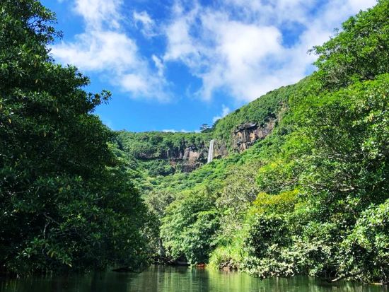 マングローブカヌー＋由布島観光ツアー+西表野生生物保護センター アクティビティも観光も、いいとこ取りの人気コース＜上原港or西部地区ホテル無料送迎／西表島＞