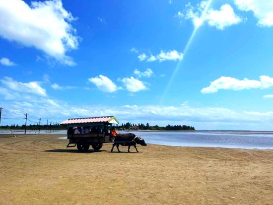 マングローブカヌー＋由布島観光ツアー+西表野生生物保護センター アクティビティも観光も、いいとこ取りの人気コース＜上原港or西部地区ホテル無料送迎／西表島＞