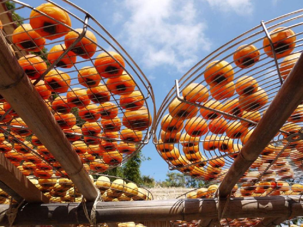 20231107005107_1230794015_2054