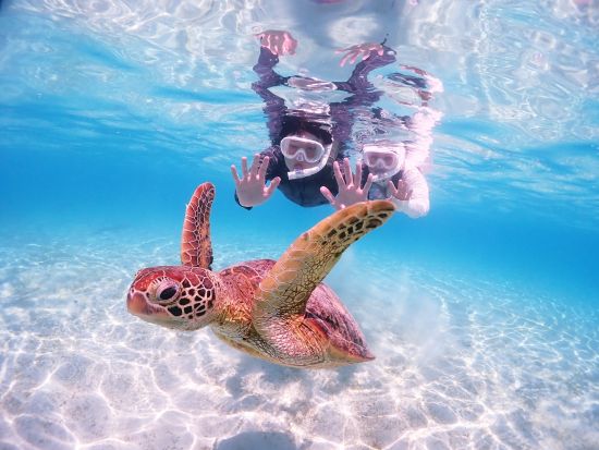 サンライズSUP&貸切ウミガメシュノーケル 1日1組 日の出とともにSUP体験！早朝ビーチで至福のひとときを過ごそう＜撮影データ無料／約2～3時間／宮古島＞