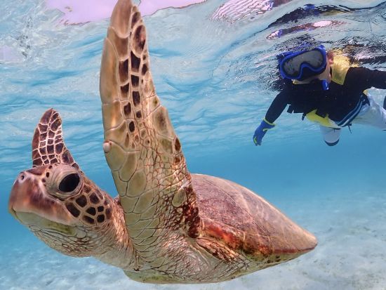 SUP&貸切ウミガメシュノーケル 初心者の方も大歓迎！宮古島ならではの大自然を感じながら特別な思い出作り♪＜撮影データ無料／約3～4時間／宮古島＞