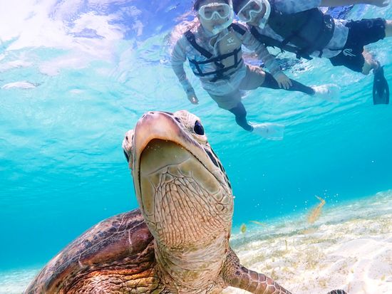 C28BAEC3-DE25-401C-A63E-BAE0B56F3325