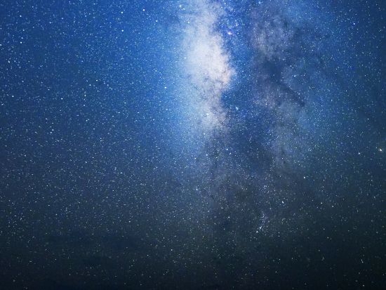 宮古島ナイトツアー 満天の星空とたくさんの動物を見つけに行こう 年齢制限なしで小さなお子様からシニアまで大歓迎＜約1時間／宮古島＞