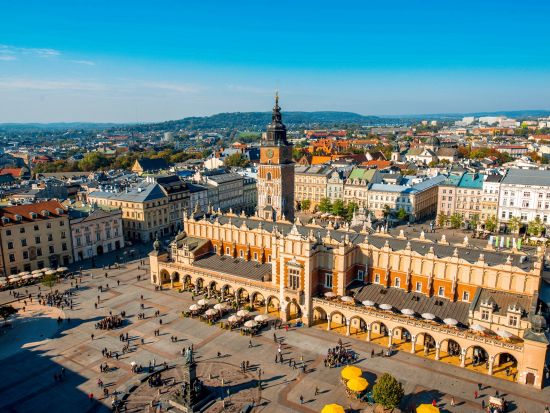 アウシュヴィッツ強制収容所　日本語アシスタントがしっかり解説！日帰り見学ツアー＜混載／日本語／クラクフ発＞