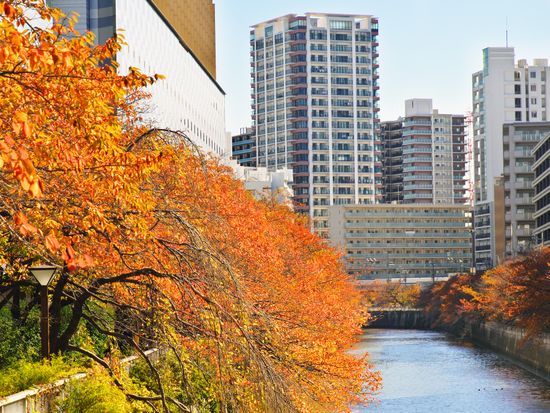 pixta_61859607_M (1)