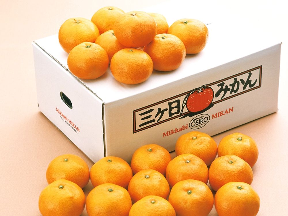 10258704-001_静岡県産　三ヶ日みかん［２．５ｋｇ］_10258704-021_静岡県産　三ヶ日みかん約２．５ｋｇ_三ケ日みかん_S_S