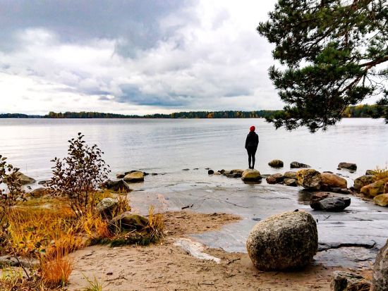 【秋冬限定】ヘルシンキの森散策ツアー 季節の息吹を感じる森を探検！＜10月～4月／日本語／昼食付／ヘルシンキ発＞ 