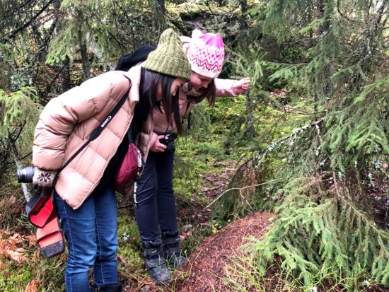 【秋冬限定】ヘルシンキの森散策ツアー 季節の息吹を感じる森を探検！＜10月～4月／日本語／昼食付／ヘルシンキ発＞ 