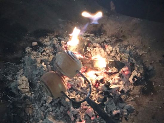 【秋冬限定】ヘルシンキの森散策ツアー 季節の息吹を感じる森を探検！＜10月～4月／日本語／昼食付／ヘルシンキ発＞ 