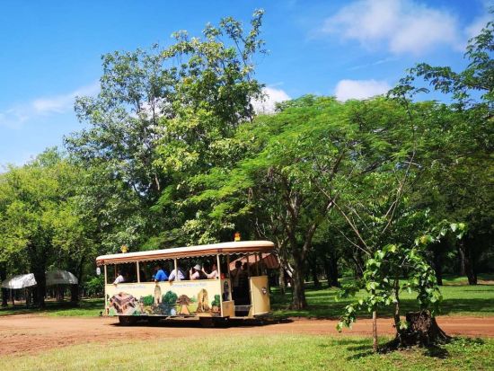 世界遺産「シーテープ歴史公園」日帰り観光ツアー　ロッブリー立ち寄りあり＜1日／昼食付き／日本語ガイド＞