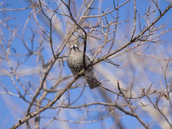 pixta_25780192_M (1)