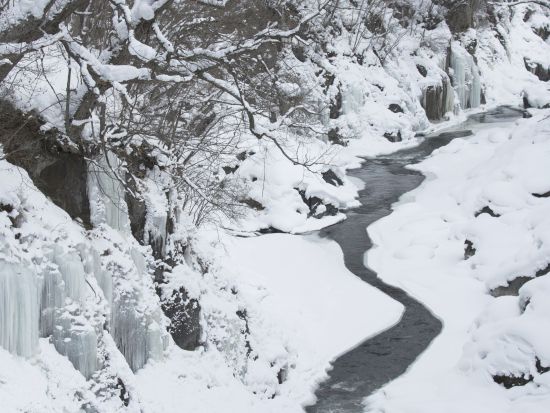 【錦仙峡ネイチャーガイド】四季折々の山野草を楽しみながら地元ガイドと散策！＜1時間or2時間／滝上町＞