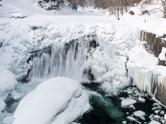 【錦仙峡ネイチャーガイド】四季折々の山野草を楽しみながら地元ガイドと散策！＜1時間or2時間／滝上町＞