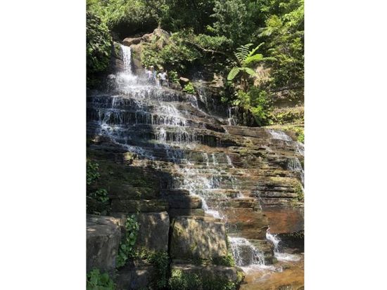 ジャングルトレッキング 沢を歩いて絶景が広がる滝を目指そう！メディアにも紹介された人気のコースもご紹介＜半日or1日／東部地区無料送迎／西表島＞