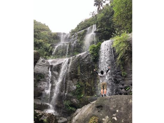 ジャングルトレッキング 沢を歩いて絶景が広がる滝を目指そう！メディアにも紹介された人気のコースもご紹介＜半日or1日／東部地区無料送迎／西表島＞