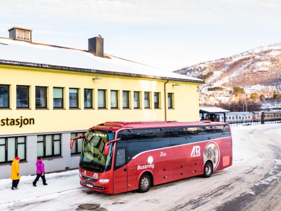 Narvik station photo by Best Arctic (credit)