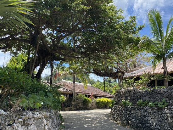 沖縄琉球村 通常価格よりお得！沖縄定番の観光スポットを満喫できます＜購入後90日間引換OK／沖縄＞