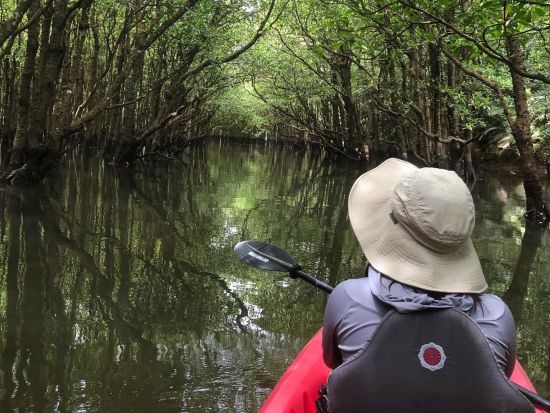 仲間川カヌー＆由布島観光 2歳から参加OK！西表島の見どころをギュッと詰め込んだ大満足プラン＜東部地区送迎無料送迎／フリー昼食／西表島＞