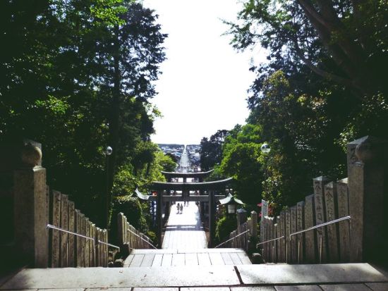 博多発着観光タクシー　世界遺産・宗像大社コース　香椎宮＋宮地嶽神社＋宗像大社　行程のアレンジ可能＜約5時間／1～9名／福岡市内送迎可能＞by 福岡交通