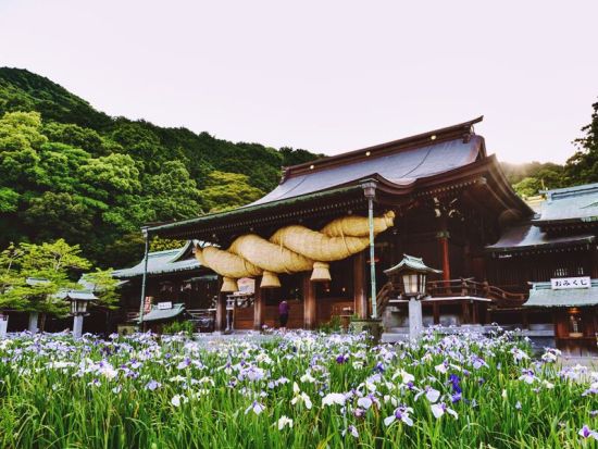 博多発着観光タクシー　欲張り願い事コース　宮地嶽神社＋宗像大社＋太宰府天満宮＋竈門神社　行程のアレンジ可能＜約8時間／1～9名／福岡市内送迎可能＞by 福岡交通