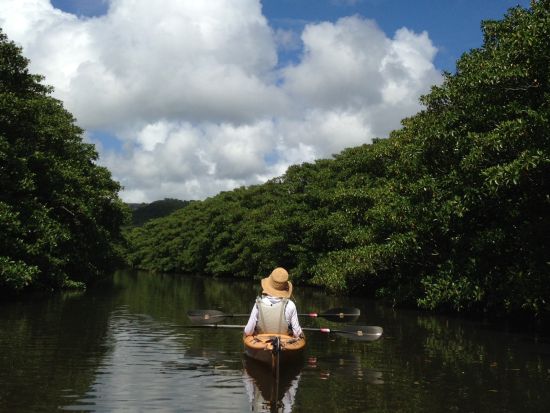 仲間川カヌー＆由布島観光 2歳から参加OK！西表島の見どころをギュッと詰め込んだ大満足プラン＜東部地区送迎無料送迎／フリー昼食／西表島＞
