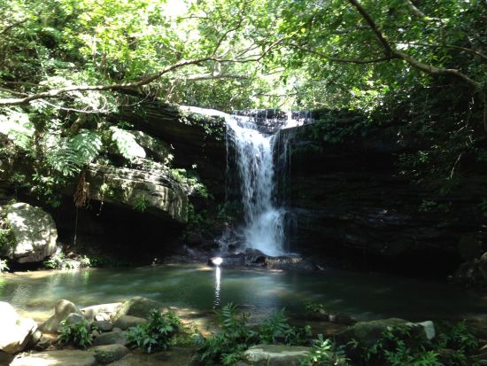 仲間川カヌー＆トレッキング 西表島の自然を1日で大満喫！本格的なジャングル体験で絶景を見に行こう＜東部地区無料送迎／フリー昼食／西表島＞