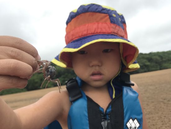 生き物大好きツアー マングローブカヌー＆ジャングルトレッキングで生き物探しの大冒険へ ＜半日 or 1日／東部地区無料送迎／西表島＞