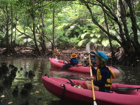 仲間川カヌー＆由布島観光 2歳から参加OK！西表島の見どころをギュッと詰め込んだ大満足プラン＜東部地区送迎無料送迎／フリー昼食／西表島＞