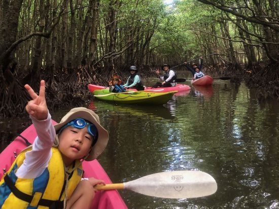生き物大好きツアー マングローブカヌー＆ジャングルトレッキングで生き物探しの大冒険へ ＜半日 or 1日／東部地区無料送迎／西表島＞