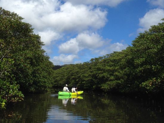 仲間川カヌー＆由布島観光 2歳から参加OK！西表島の見どころをギュッと詰め込んだ大満足プラン＜東部地区送迎無料送迎／フリー昼食／西表島＞