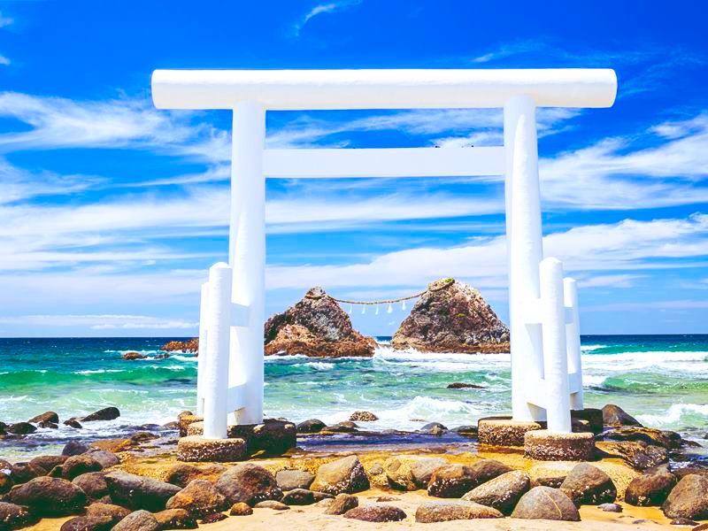 福岡糸島産１０キロ!!! 糸島産 夢つくし 10kg【糸島王丸農園】