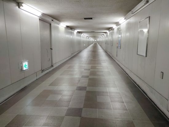 【人気No2】まるで『8番出口』？成田空港の2つの異空間トンネル探検★都会の秘境駅と滑走路下のトンネルも見学★お一人様やリクエスト予約歓迎