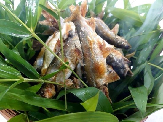 【料亭 小六庵】料亭で加賀会席「小珠の和(こたまのわ)」珠玉のおもてなしプラン＜小松駅徒歩7分／小松市＞