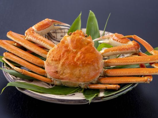 【日本料理 なか乃】料亭で加賀会席「小珠の和(こたまのわ)」珠玉のおもてなしプラン＜小松駅徒歩10分／小松市＞