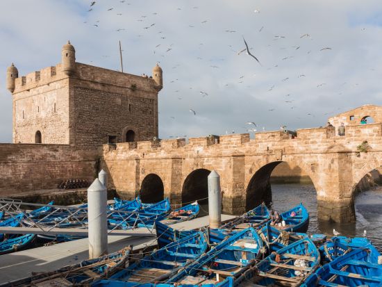 世界遺産エッサウィラ 異国情緒溢れる街を訪れる日帰りツアー アルガンオイル体験付き＜英語／マラケシュ発＞