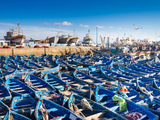 世界遺産エッサウィラ 異国情緒溢れる街を訪れる日帰りツアー アルガンオイル体験付き＜英語／マラケシュ発＞