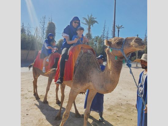 ラクダ乗り体験 砂漠に囲まれた広大な荒野でラクダと触れ合う＜送迎付き／英語／マラケシュ発＞