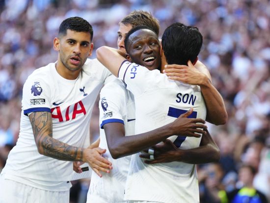 トッテナム　サッカー観戦チケット予約手配＜トッテナム・ホットスパー・スタジアム＞