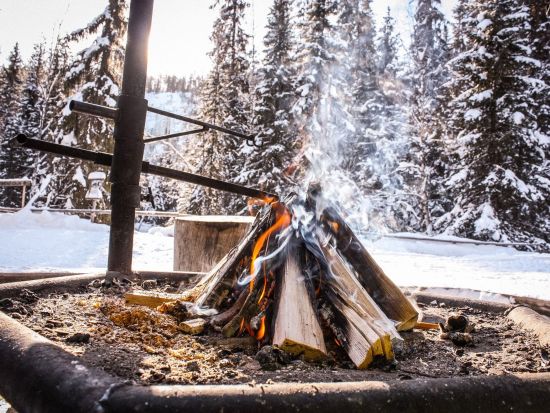 雪と氷の絶景！コロウオマの滝ハイキングツアー＜12月～4月／英語／送迎あり／軽食付／ロヴァニエミ発＞