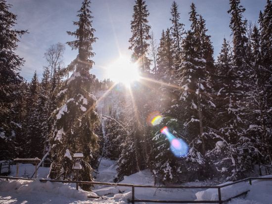 雪と氷の絶景！コロウオマの滝ハイキングツアー＜12月～4月／英語／送迎あり／軽食付／ロヴァニエミ発＞