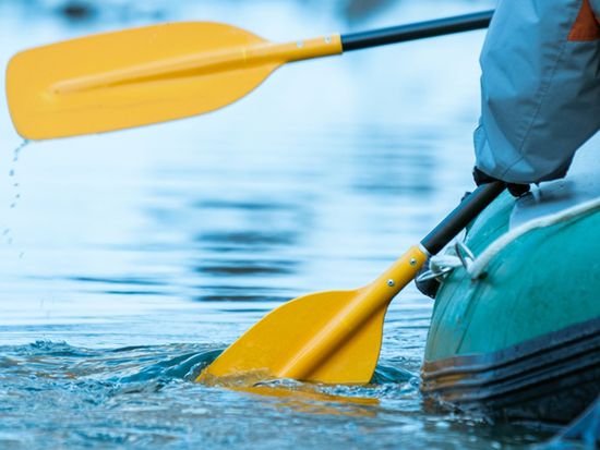 497110BE-93FA-461A-8556-F9831142518A_1_105_c