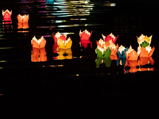 Vietnam_HoiAnPaper Lantern_shutterstock_1361106590