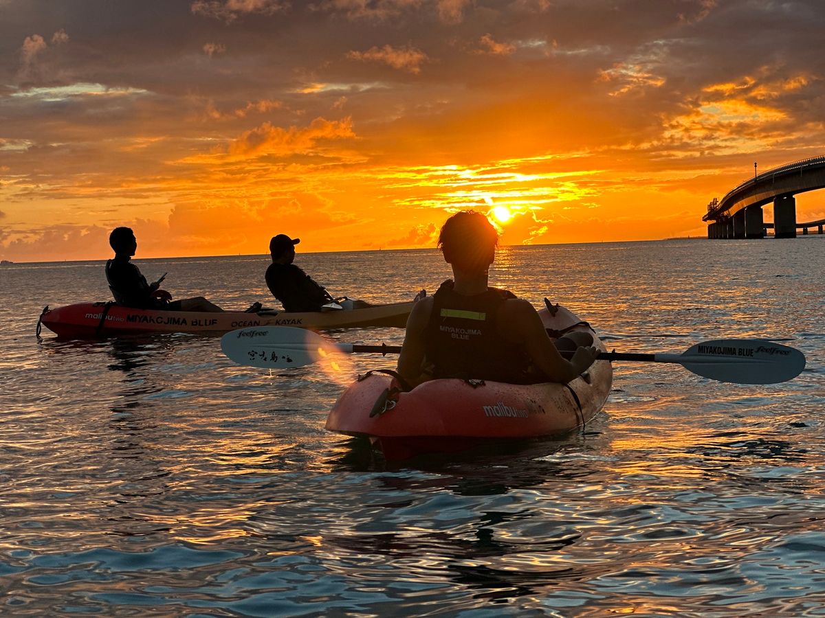 20231128071418_540246519_16722