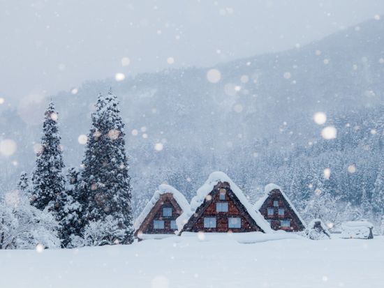 白川郷合掌造り民家園セット券 高山濃飛バスセンターから白川郷間の往復バス＋白川郷合掌造り民家園の入園券＜高山市＞