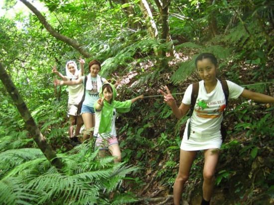 西表島探検！カヌー＆トレッキングツアー 2種類のアクティビティを楽しめる マイナスイオンたっぷりの大自然をのんびり冒険＜昼食付／石垣島発＞